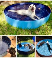 Prenosný bazén pre psov