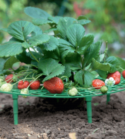 Záhradný stojan na jahody